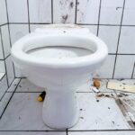 Clogging Relations: Russia Cuts Off Toilet Exports in Response to U.S. Sanctions