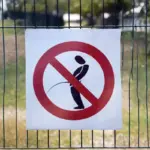 Germany on the Brink of Banning Standing Urination for Men: A Nation Divided by the 'Seat Down Revolution'