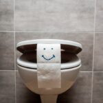 99% of Americans Unsure Whether to Leave the Toilet Seat Up or Down: A Nation Divided