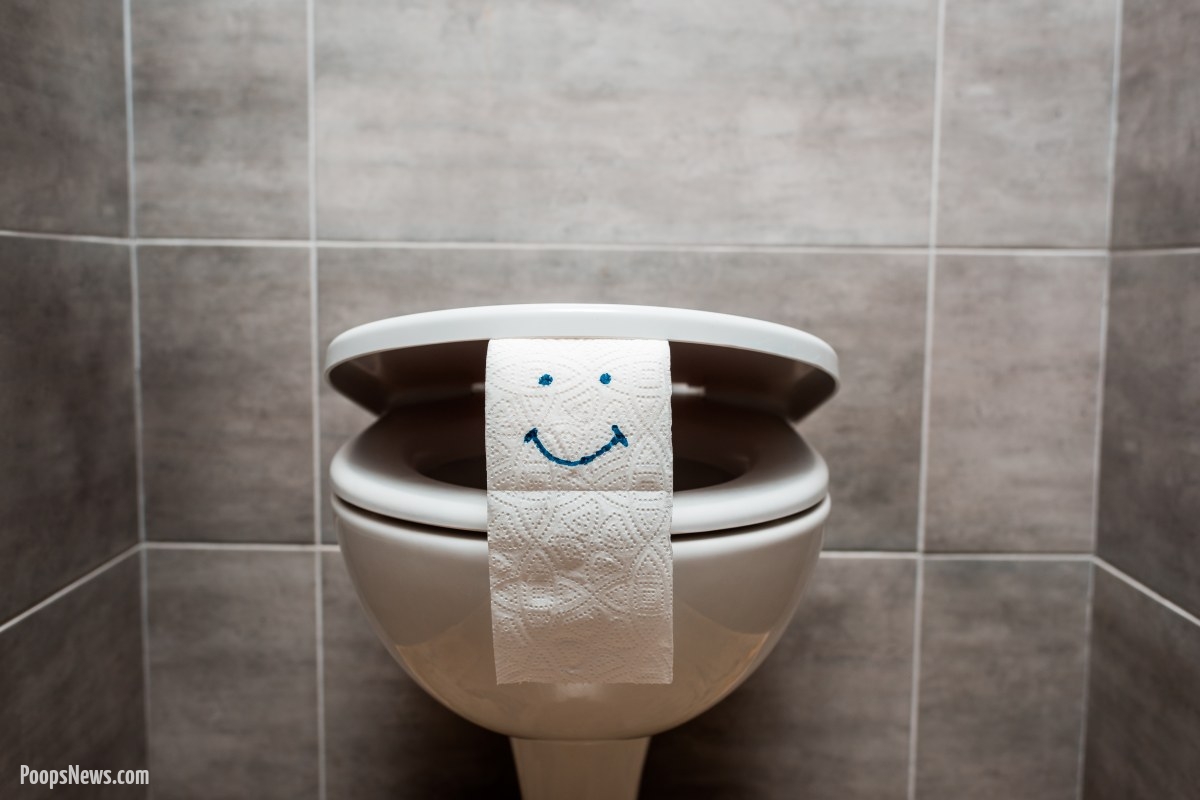 99% of Americans Unsure Whether to Leave the Toilet Seat Up or Down: A Nation Divided