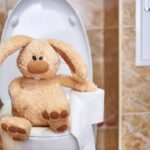 Bunny on the Throne: The Prank That Blocked a Nation